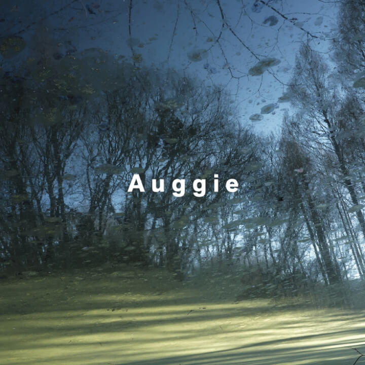 Auggie